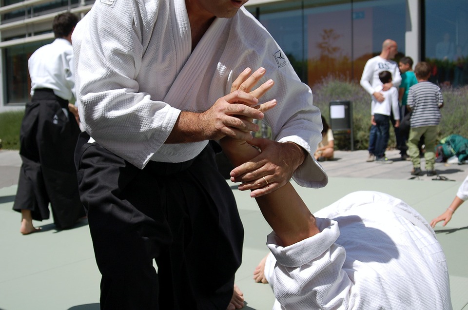 Ninja Martial Arts: The Combat Techniques of Shadow Warriors